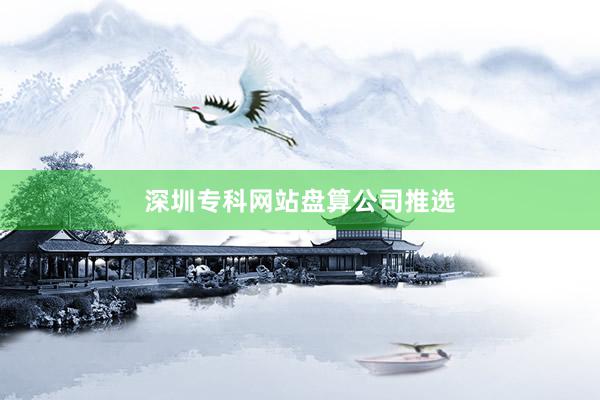 深圳专科网站盘算公司推选